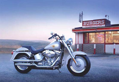 2005 harley on sale fatboy anniversary edition